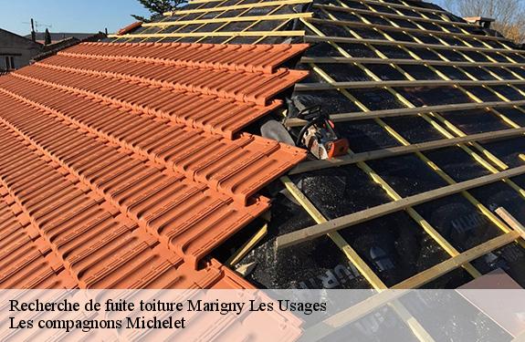 Recherche de fuite toiture  marigny-les-usages-45760 Les compagnons Michelet