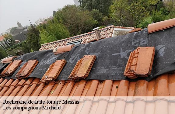 Recherche de fuite toiture  45190