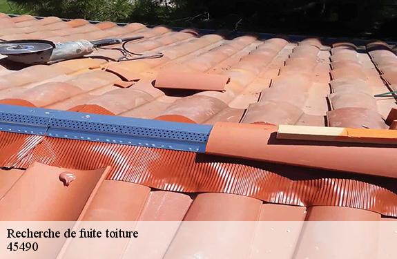 Recherche de fuite toiture  45490