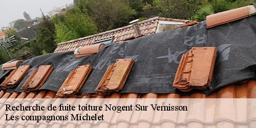 Recherche de fuite toiture  nogent-sur-vernisson-45290 Les compagnons Michelet
