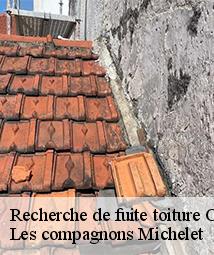 Recherche de fuite toiture  olivet-45160 Les compagnons Michelet