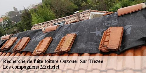 Recherche de fuite toiture  ouzouer-sur-trezee-45250 Les compagnons Michelet