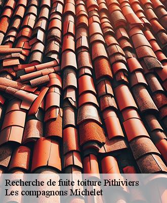 Recherche de fuite toiture  pithiviers-45300 Les compagnons Michelet