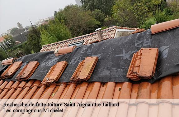 Recherche de fuite toiture  45600