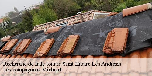 Recherche de fuite toiture  saint-hilaire-les-andresis-45320 Les compagnons Michelet