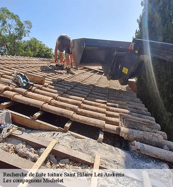 Recherche de fuite toiture  saint-hilaire-les-andresis-45320 Les compagnons Michelet