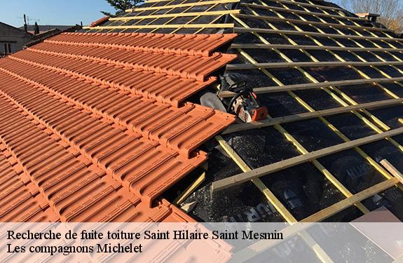 Recherche de fuite toiture saint-hilaire-saint-mesmin-45160 Les compagnons Michelet