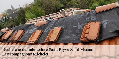 Recherche de fuite toiture  saint-pryve-saint-mesmin-45750 Les compagnons Michelet