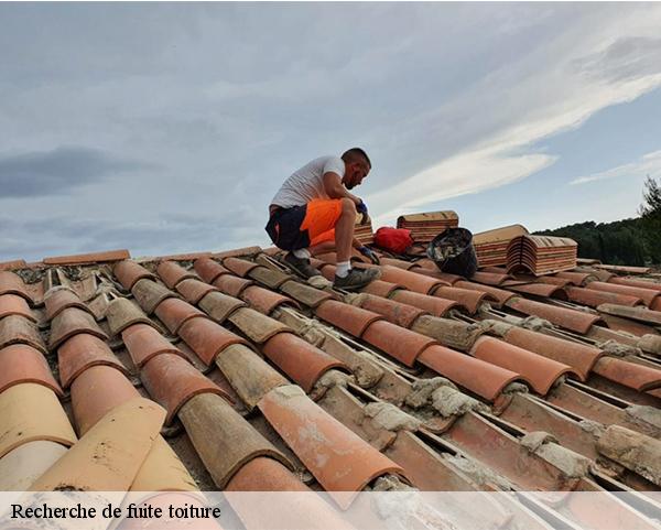 Recherche de fuite toiture  santeau-45170 Les compagnons Michelet