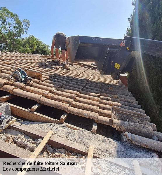 Recherche de fuite toiture  santeau-45170 Les compagnons Michelet