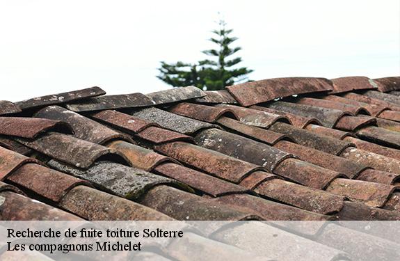 Recherche de fuite toiture  45700