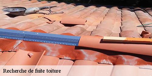 Recherche de fuite toiture  tavers-45190 Les compagnons Michelet