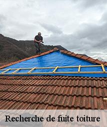 Recherche de fuite toiture  thorailles-45210 Les compagnons Michelet