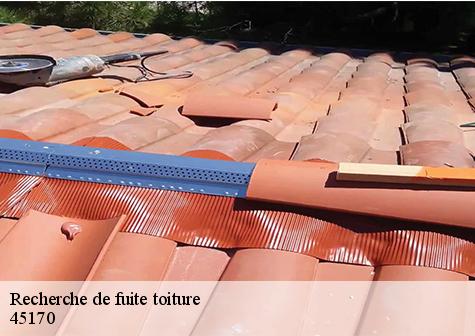 Recherche de fuite toiture  villereau-45170 Les compagnons Michelet